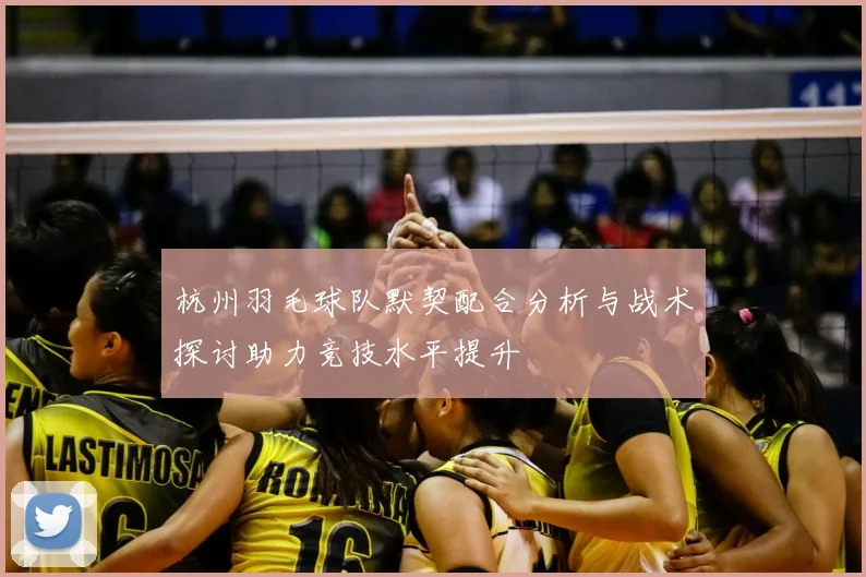 杭州羽毛球队默契配合分析与战术探讨助力竞技水平提升