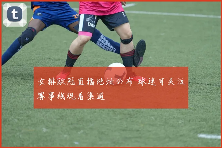 女排欧冠直播地址公布 球迷可关注赛事线观看渠道