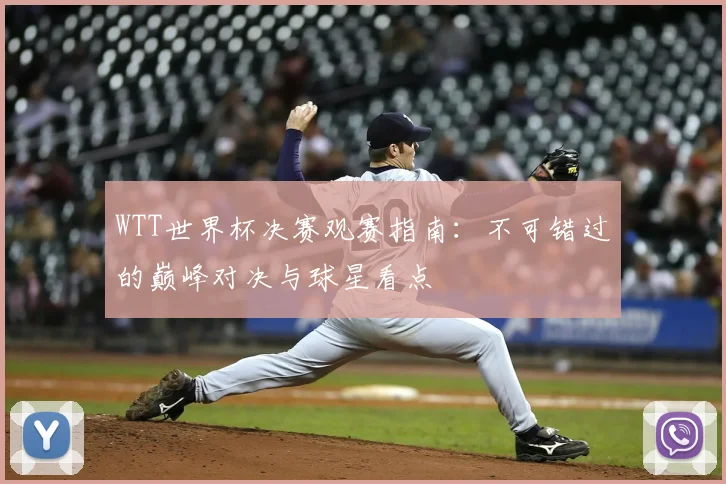 WTT世界杯决赛观赛指南：不可错过的巅峰对决与球星看点