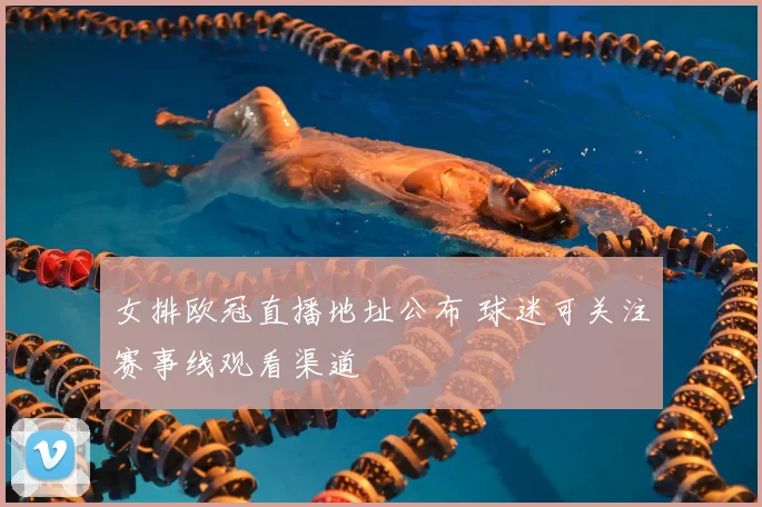 女排欧冠直播地址公布 球迷可关注赛事线观看渠道
