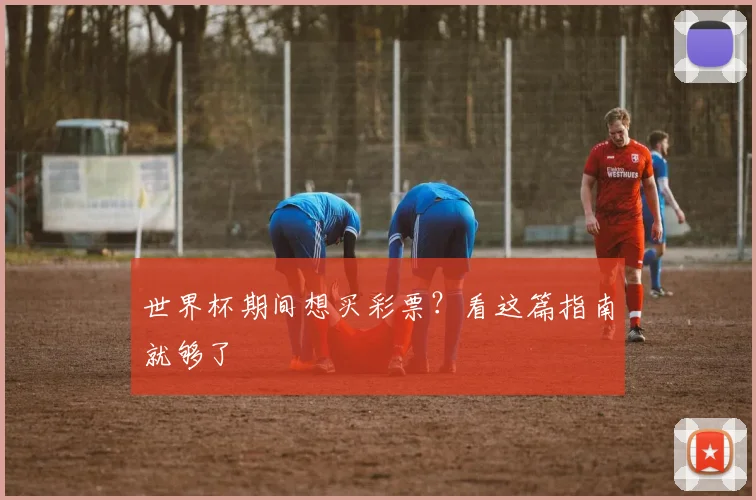世界杯期间想买彩票？看这篇指南就够了