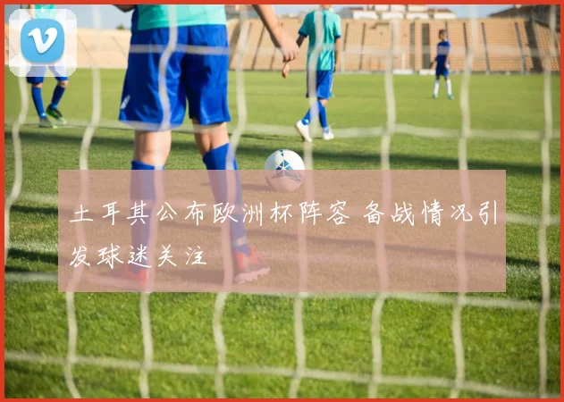 土耳其公布欧洲杯阵容 备战情况引发球迷关注