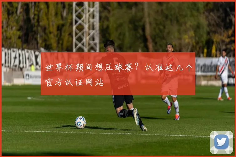 世界杯期间想压球赛?认准这几个官方认证网站