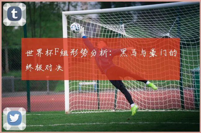 世界杯F组形势分析：黑马与豪门的终极对决