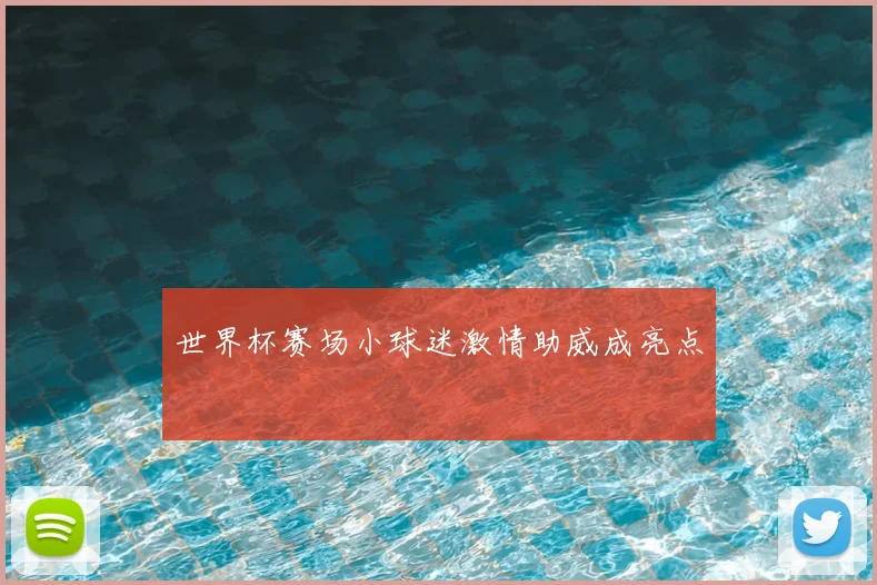 世界杯赛场小球迷激情助威成亮点