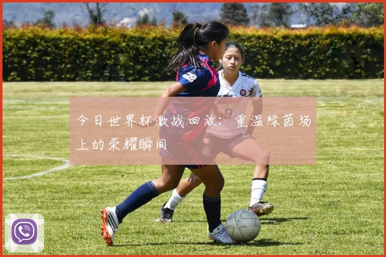 今日世界杯激战回放：重温绿茵场上的荣耀瞬间