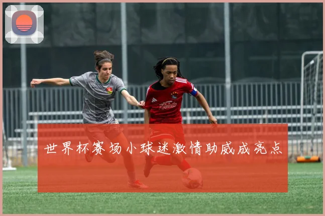 世界杯赛场小球迷激情助威成亮点