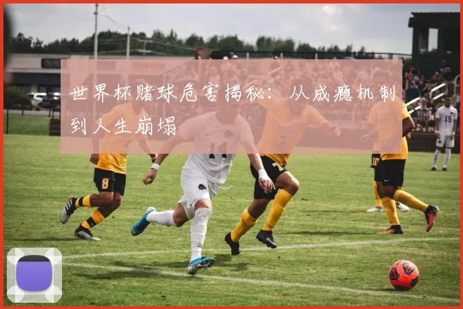 世界杯赌球危害揭秘:从成瘾机制到人生崩塌