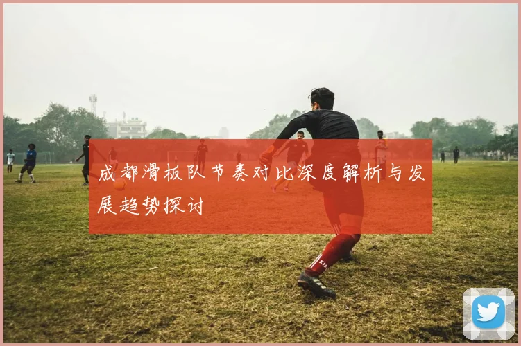成都滑板队节奏对比深度解析与发展趋势探讨