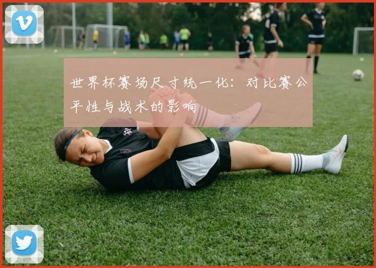 世界杯赛场尺寸统一化:对比赛公平性与战术的影响
