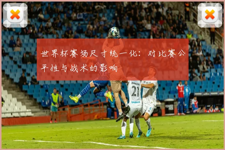 世界杯赛场尺寸统一化：对比赛公平性与战术的影响