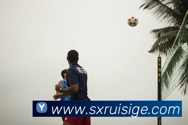 互动解说服务